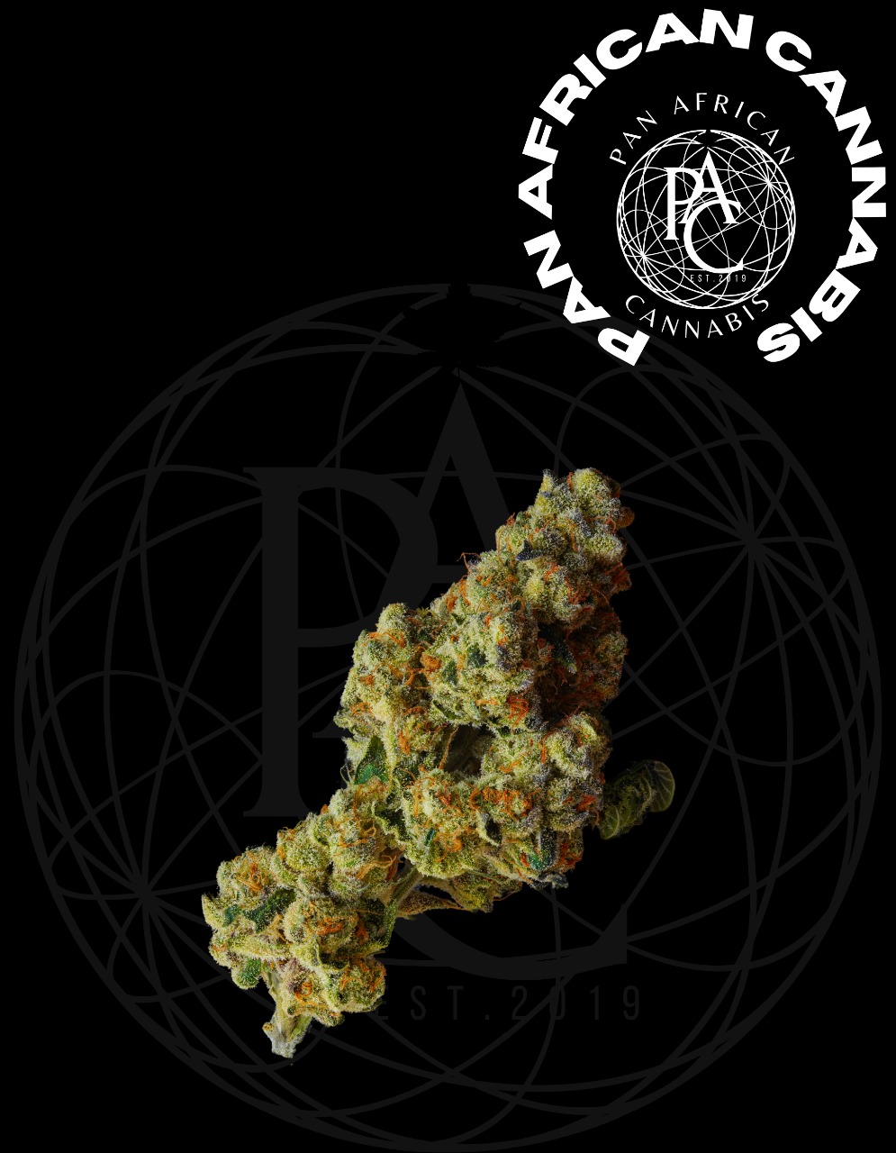 Big Buddha Cheese