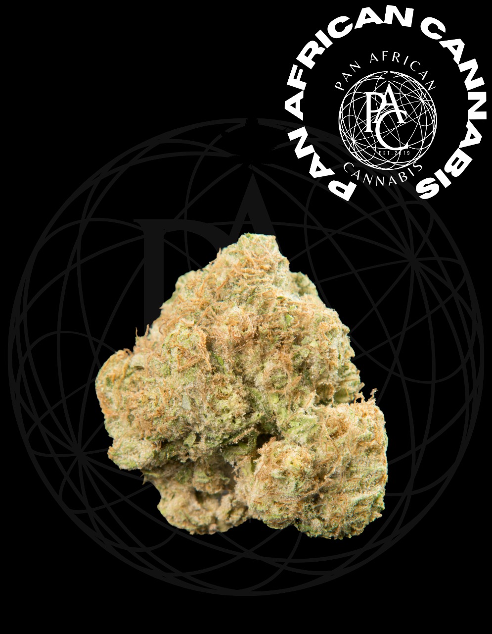 Zulu Skywalker