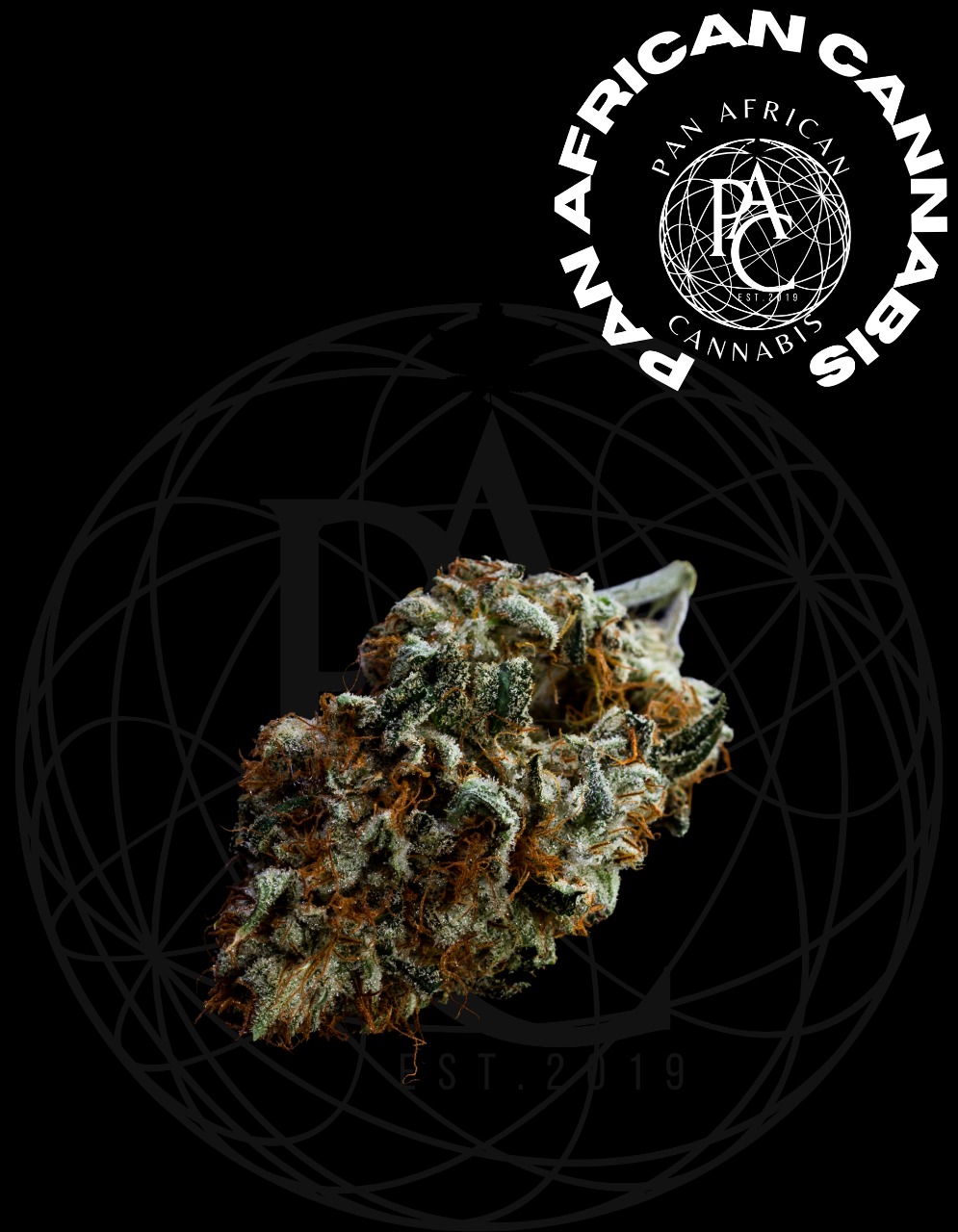 Orange Cookie Chem